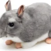 Chincilla pehmolelu 22cm