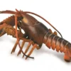 Collecta 88920 Hummeri