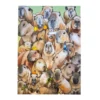 Kenkämaakari Capybara jengi kortti