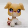Littlest Petshop Bokseri pentu #451