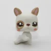 Littlest Petshop Bulldog vauva #2554