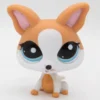 Littlest Petshop Chihuahua #2072