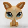 Littlest Petshop Chihuahua #1656