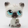 Littlest Petshop Kissa #PP1