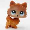 Littlest Petshop Pomerian #1599