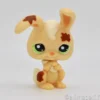 Littlest Petshop Pupu #972