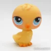 Littlest Petshop Tipu #13