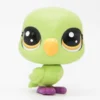 Littlest Petshop Undulaatti #no