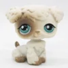 Littlest Petshop Villakoira #204