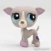 Littlest Petshop Vinttikoira #1897