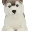 Living Nature Husky koira pentu pehmolelu 25cm