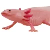 Mojo Axolotl