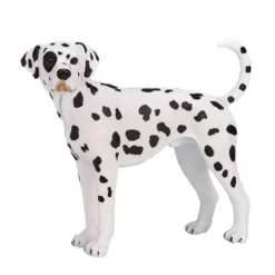 Mojo Dalmatian koira
