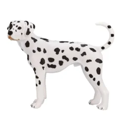 Mojo Dalmatian koira