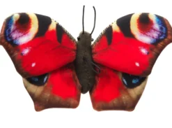 Perhonen pehmolelu 24cm