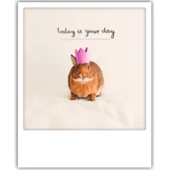 Pick Motion "Today is your day" Pupu -kortti