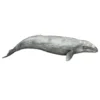 Schleich Harmaavalas 16082 - Second Hand