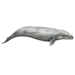 Schleich Harmaavalas 16082 - Second Hand