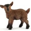 Schleich Kili 13829