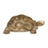 Schleich Kilpikonna 14304 - Second Hand