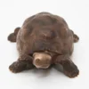 Schleich Kilpikonna 14304 - Second Hand