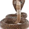Schleich 17057 Kobra